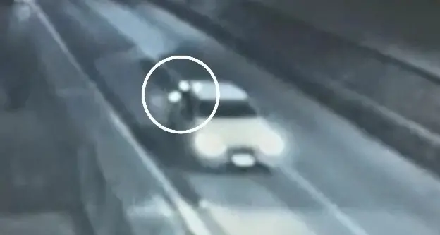 Lancia la spazzatura dall’auto, preso grazie alle telecamere: ora dovrà pagare 216 euro