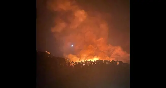 Incendi: vescovo di Cefalù, protesta per inerzia governo Regione