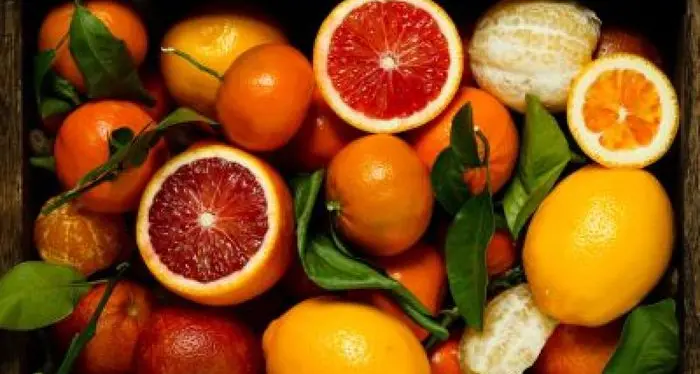 Non solo vitamina: ecco tutti i benefici degli agrumi