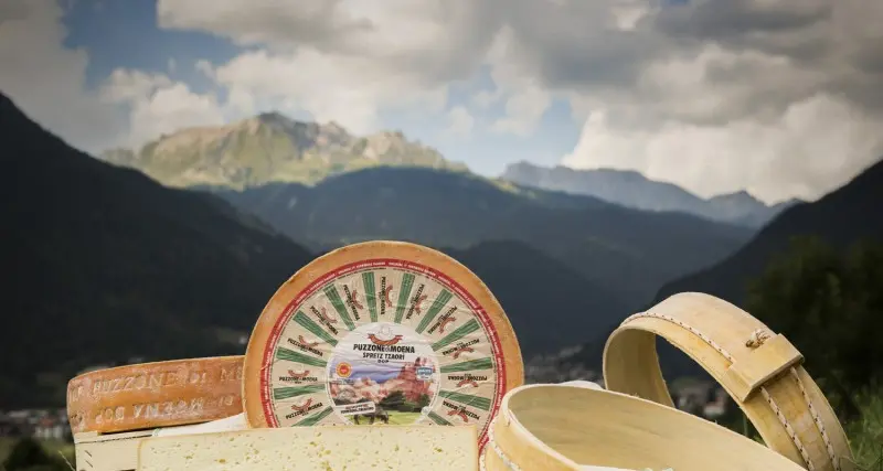 Ai campionati dei formaggi «Italian Cheese Awards» il Puzzone di Moena di nuovo in lizza per il titolo