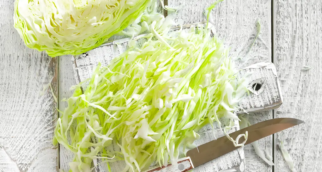 In forma anche dopo le vacanze: ecco i sette cibi «detox» per affrontare l’inverno