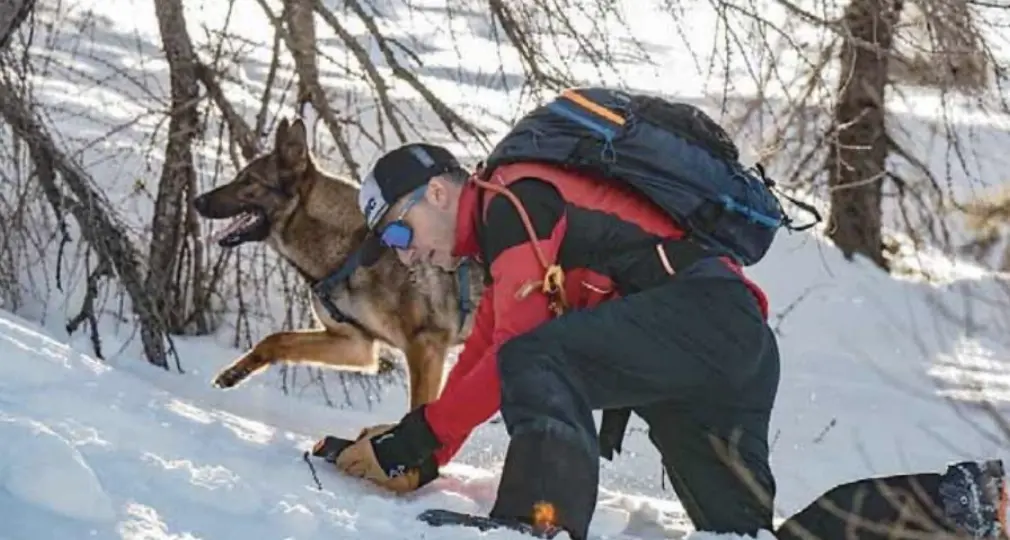 Simoni e Phoenix, insieme per salvare vite: il Soccorso alpino Valle del Chiese ha la sua prima unità cinofila