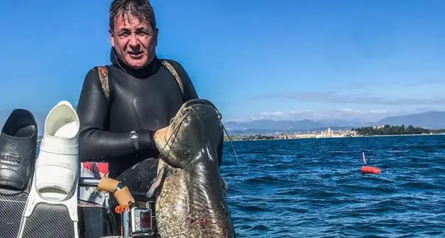Il pesce siluro è arrivato nel Garda: primo esemplare catturato