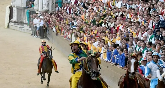 Palio Siena: assegnati cavalli,sorte bacia Pantera e Istrice