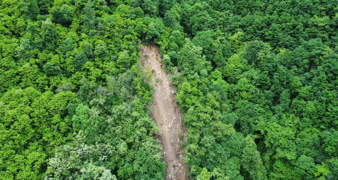 Levico, una frana minaccia la strada, 12 famiglie isolate fra Selva e Campiello