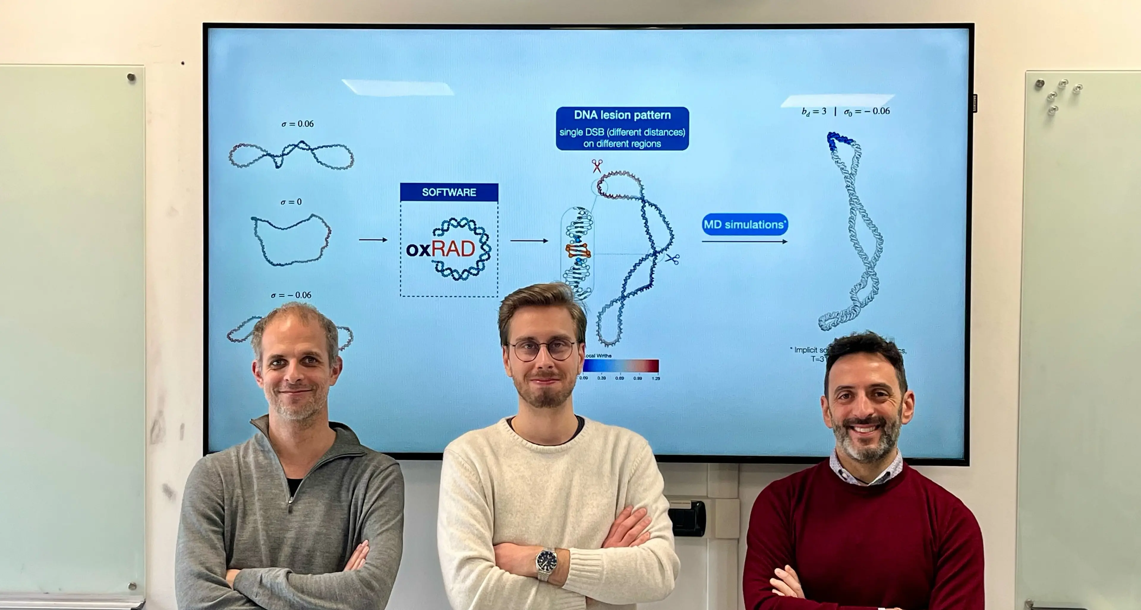 Lo studio trentino: Dna fragile o resistente, la scoperta che aiuta le cure