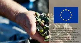 Nuove borse di studio previste per i giovani futuri leader nel settore agricolo