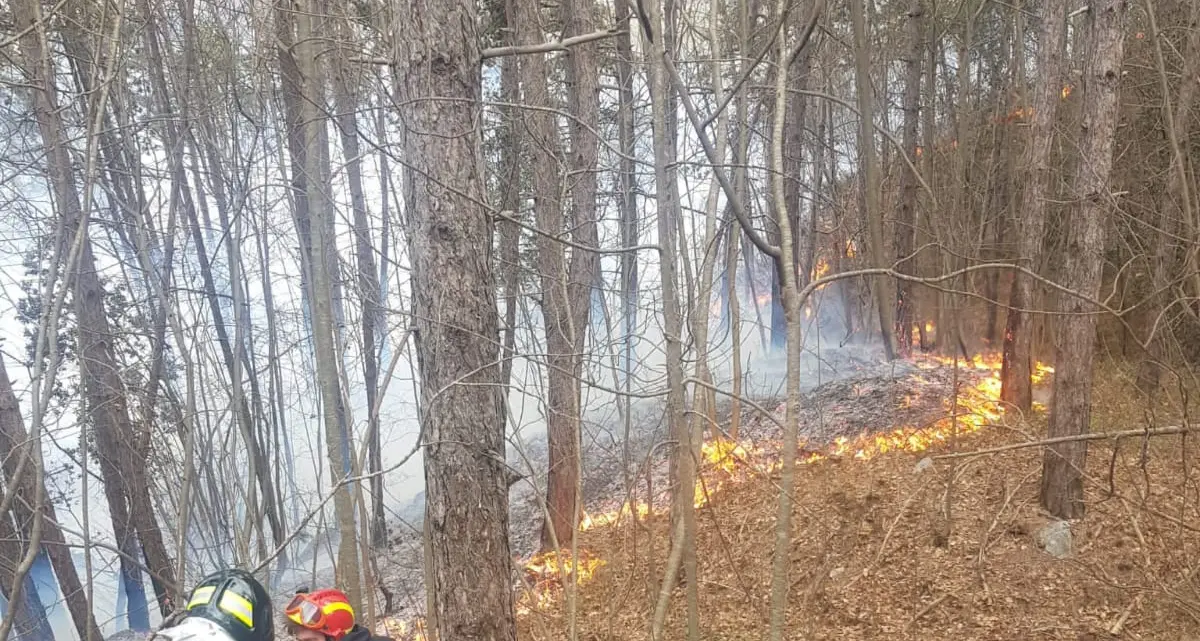 Incendio Sarche, la siccità rende difficile il contenimento delle fiamme