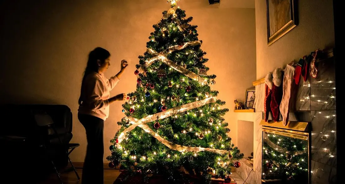 Trento: alberi di Natale, le indicazioni per un corretto smaltimento dopo le feste