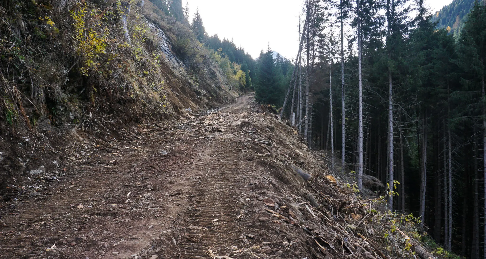 Strada per lago e malga Lagorai, via ai lavori dopo la distruzione di Vaia