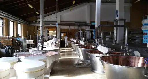 Gravi lesioni al bimbo, in gita al Caseificio di Coredo aveva mangiato formaggio: si va a processo