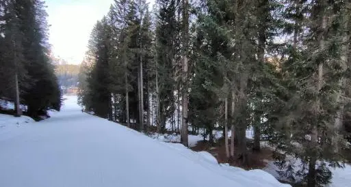 Campiglio, un’altra pista da sci da allargare: nuovo volto per la “blu” Poza Vecia