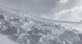 Valanga sul Monte Vioz, persone coinvolte