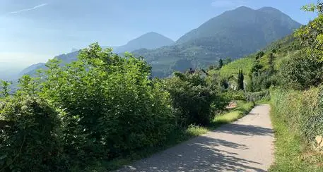 Uccise figlio neonato, donna patteggia una pena di 2 anni