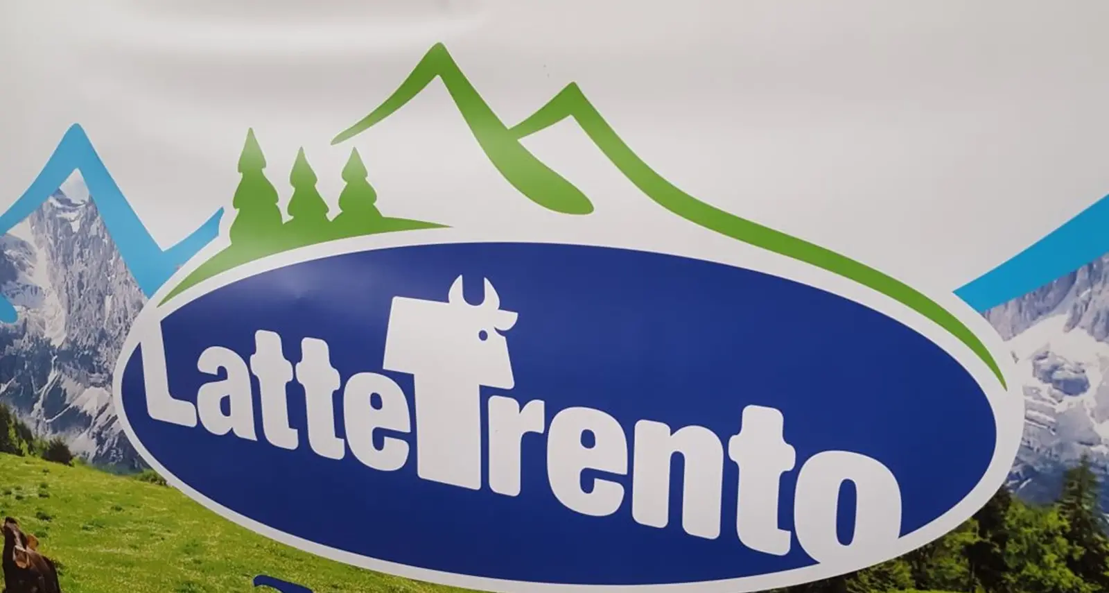 Latte Trento, la commessa infedele sottrae 15 mila euro: condannata