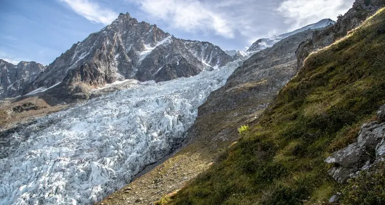 Lo studio: la vegetazione delle Alpi minacciata dal clima, gli equilibri dei terreni alterati dalla riduzione delle nevi