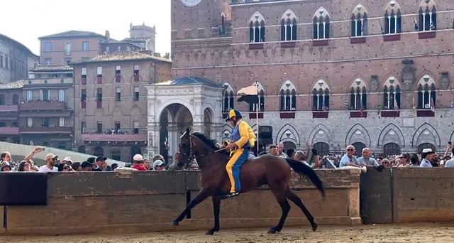 Palio di Siena: provaccia vinta da contrada della Tartuca