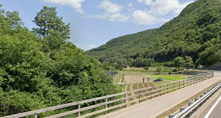 Vezzano: ciclista inseguito da un orso sulla ciclabile al Vecchio Mulino