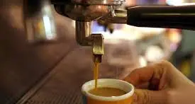 Università di Trento, un batterio rivela l'identità degli amanti del caffè