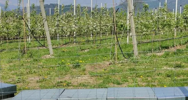 Assomela plaude al cambio di rotta dell’Ue sugli agrofarmaci: \"Finalmente comprende le sfide dei produttori\"
