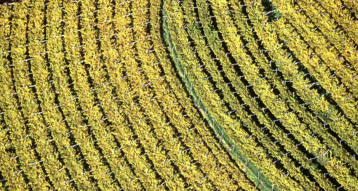 Agriturismi del Trentino, due milioni e mezzo per riqualificarli