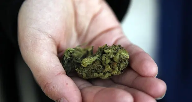 Ufficiale: a New York è stato legalizzato l'uso della marijuana