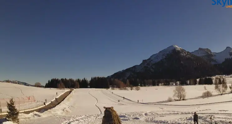 Una bella nevicata, ma al centro fondo delle Viotte... piste chiuse, la rabbia degli sportivi e della Pro Loco del Bondone: «Inaccettabile»