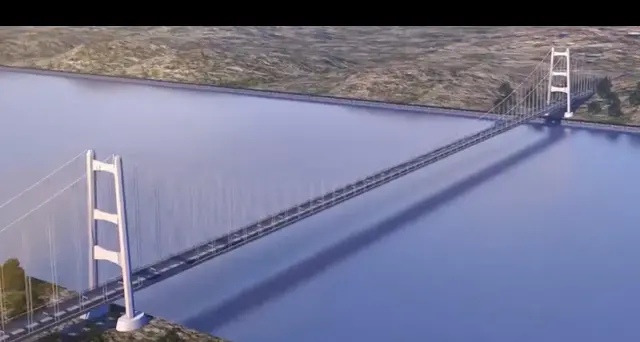 Ponte: C.Conti, viola habitat naturale,nodo piano tariffario