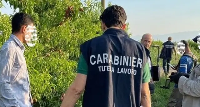 Caporalato: braccianti denunciano, Gip sospende imprenditore