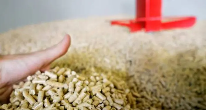 Pellet, da cinque a 13 euro al sacchetto nel giro di un anno. E c'è speculazione