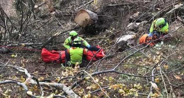 Travolto da un tronco nei boschi del Primiero: un uomo trasportato in elicottero al Santa Chiara