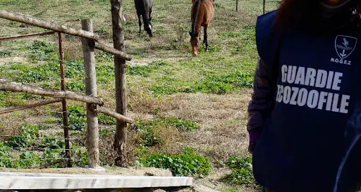 Sospetto di bocconi avvelenati a Mattarello: intervengono le guardie eco zoofile
