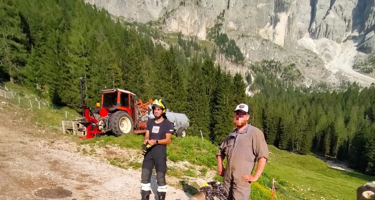 Le mucche scivolano in un dirupo in Val Venegia arrivano i Vigili del fuoco e l'elicottero a salvarle