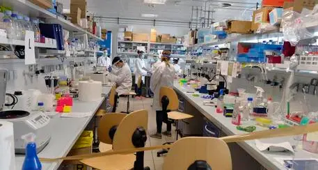 Ricerca, UniTN (con Padova) prima fra le un università italiane