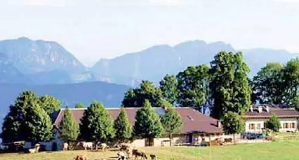 Azienda forestale verso lo scioglimento, dopo 70 anni il consorzio Trento-Sopramonte è in crisi