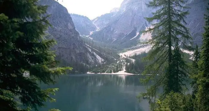 Famiglia cade nel lago col cane: in ipotermia ma con ferite lievi