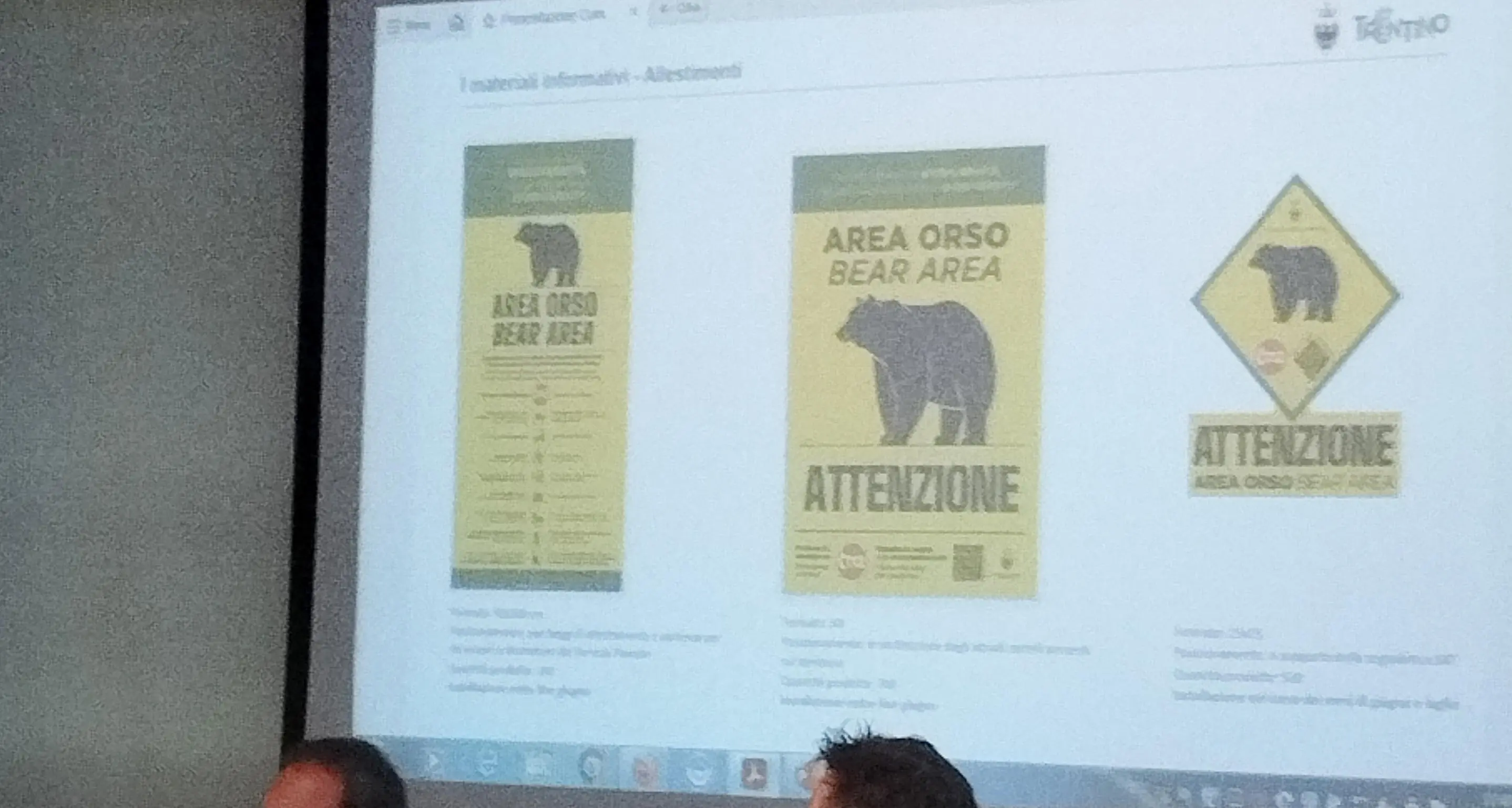Gestione degli orsi, per l'Enpa \"timidi segnali\", ma \"anni di latitanza sulla prevenzione\"