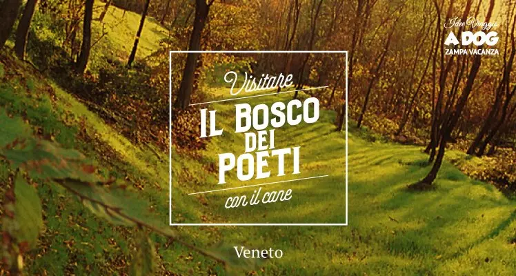 La forza della poesia, la forza di un Bosco