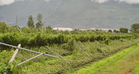 Ossanna: un fondo regionale per far fronte eventi climatici
