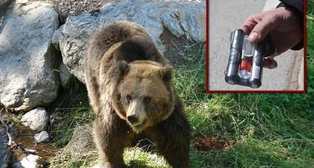 Sì della Camera a uno studio per estendere a tutti l’uso dello spray anti-orso