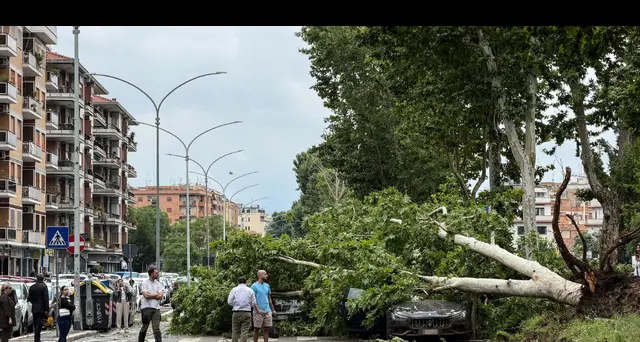 Maltempo: tromba d'aria a Roma, alberi caduti e traffico in tilt