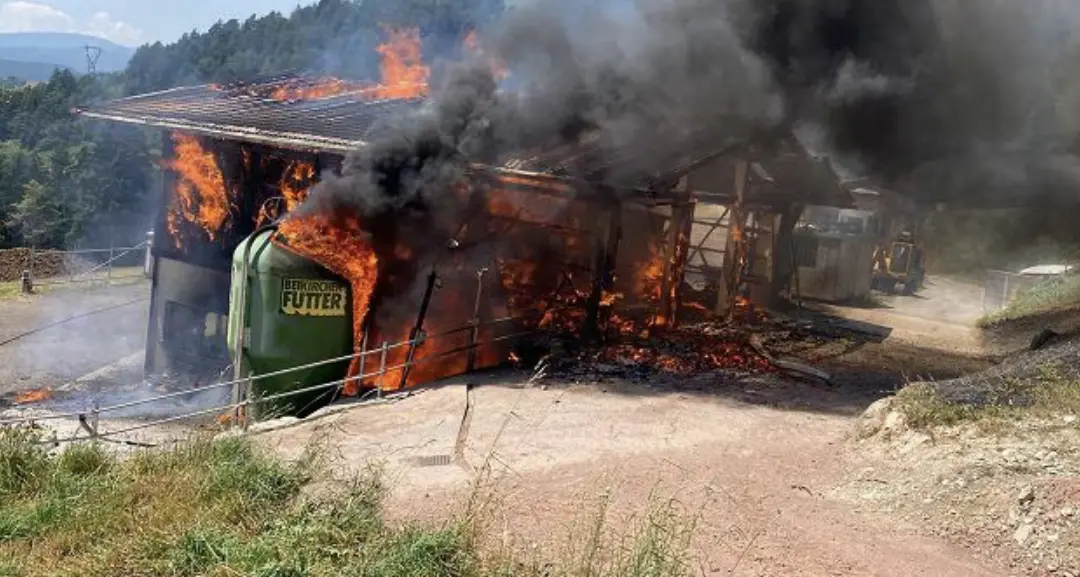 Incendio a Tesero: un fienile distrutto dalle fiamme, salvate cento capre