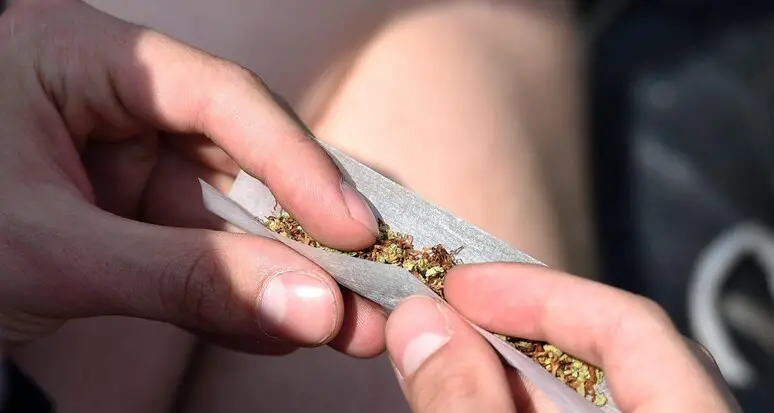 Rotaliana e Val di Non: segnalati dieci assuntori di droga negli ultimi venti giorni, uno di loro ha 17 anni