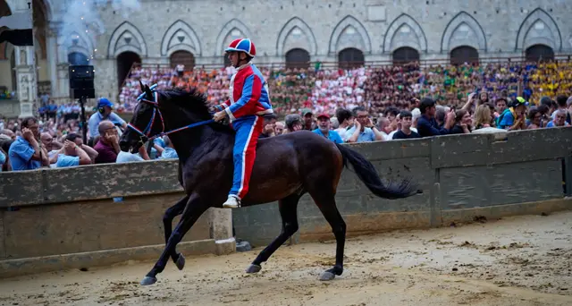 Palio Siena: Pantera vince la prima prova dopo la pioggia