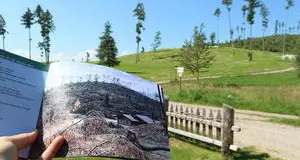 Foreste resistenti al clima con l’intelligenza artificiale e i robot: la sfida per la regione alpina