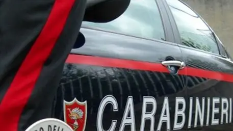 ANSA