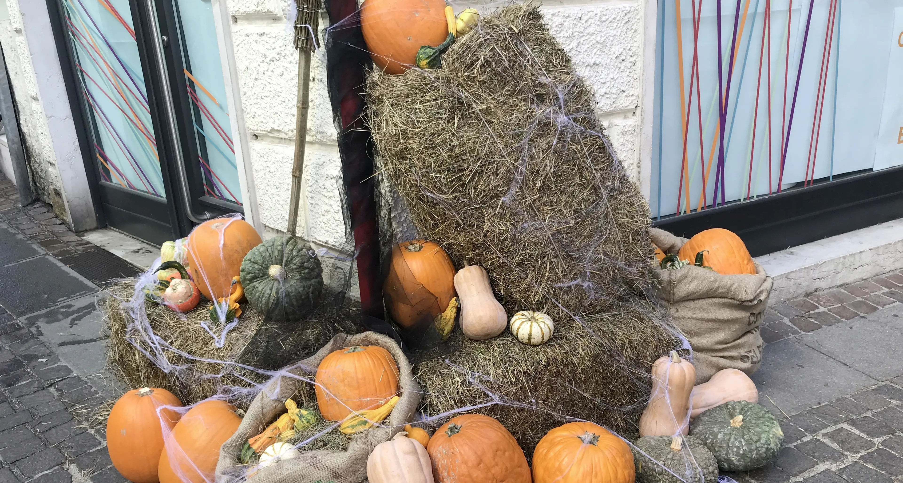 Halloween, vandali scatenati a Mezzano: distrutte le zucche nei giardini, poi svastiche e scritte omofobe contro i gay