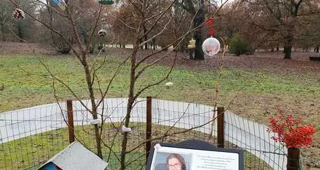 Sara Pedri, la sorella: «Venite ad addobbare il suo albero di Natale»