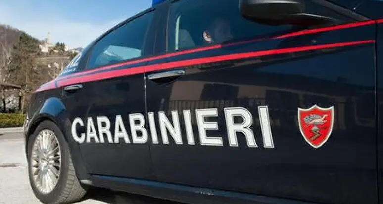 Indagini in corso per due incendi dolosi avvenuti nelle scorsi notti in valle di Non
